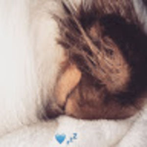 Meet your Posher, Mariah